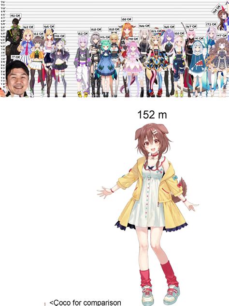 Hololive Bust Chart