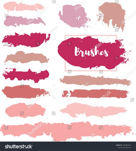Makeup Swatches Beauty Cosmetics Nude Brush Stock Vector Royalty Free Shutterstock