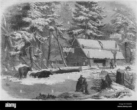 Lumbering In New Brunswick Lumbermans Camp House Canada 1858 The