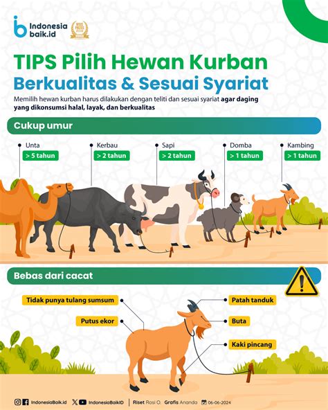 Tips Pilih Hewan Kurban Berkualitas Sesuai Syariat Indonesia Baik