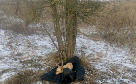 Рятував собаку й сам провалився під кригу: поліція розслідує загибель ...
