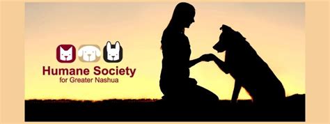 Challenging Times for Animal Shelter Leadership - Humane Society for Greater Nashua New Hampshire