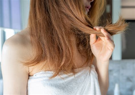 Introducir 69 Imagen Recetas Caseras Para El Cabello Seco Y Sin Brillo