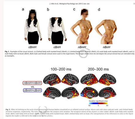 Finnish Solution Of The Nude Body Brain Question Improbable Research