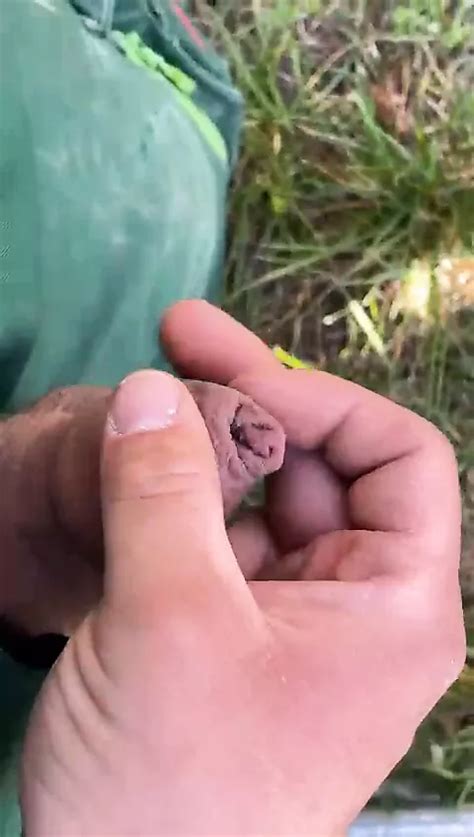 Im Garten Beim Kunden Abgespritzt Gay Porn Ab XHamster