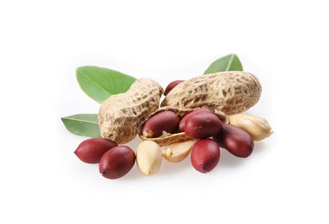 Каталог продукции