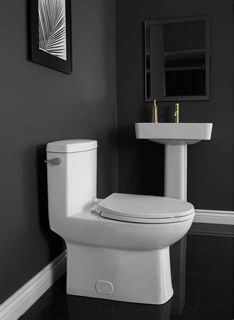 Wilton 4710BSXU One-Piece Elongated Toilet | Contrac