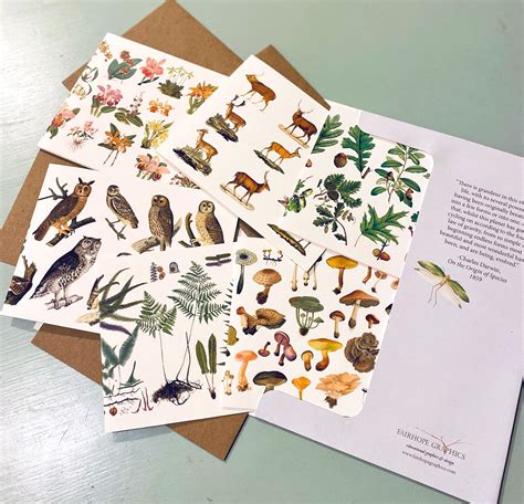 Natural History Card Packs — Fairhope Graphics Evolutionary Trees