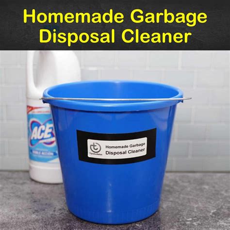 diy garbage disposal cleaner 6