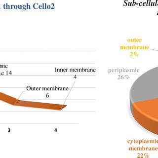 Sub-cellular localization. Quantitative representation of sub-cellular ...