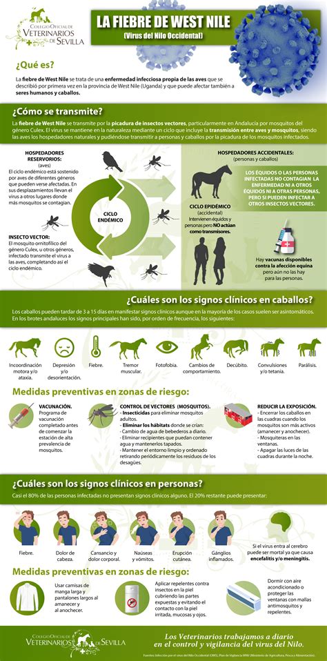 Infección por el virus del Nilo Occidental