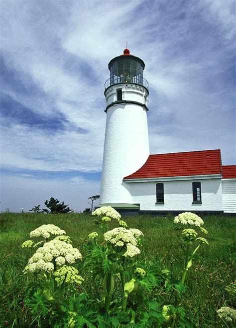 Lighthouse And Flowers Photograph By Joe Palermo