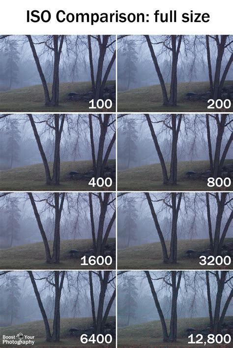 Iso Basics Boost Your Photography