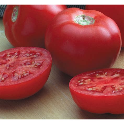 Goliath Tomato