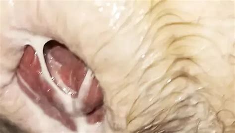 Fisting And Punching His Guts Gay Amateur Porn Feat Ffurryp XHamster