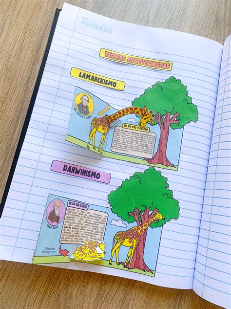 Porque As Teorias De Lamarck Foram E Ainda São Importantes