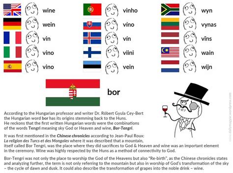 Trnslate - Trnslate added a new photo. | Witze, Lustig, Wein