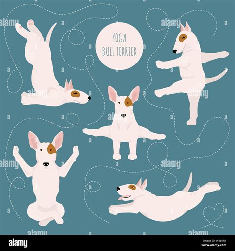 Yoga Dogs Poses And Exercises Bull Terrier Clipart Vector