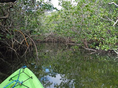 John Pennekamp Coral Reef State Park