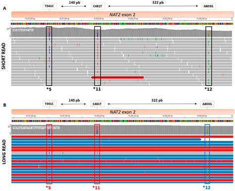 Jpm Free Full Text Direct Comparative Analysis Of A