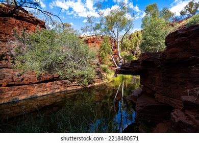 Hiking Bikini Girl Images Stock Photos Vectors Shutterstock