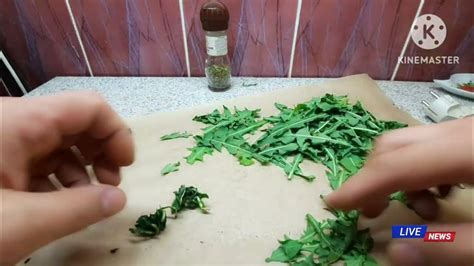 ЧАЙ из Листа ОДУВАНЧИКА .чай травяной. - YouTube