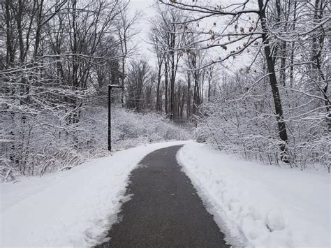 Snowy Winter Pathway Stock Image Image Of Footwear 240628823