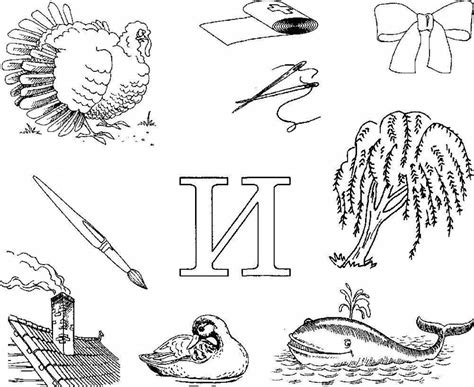 Слова Картинки На Букву К - 62 фото