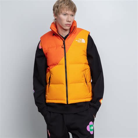 Мужской жилет The North Face x Yinka Ilori Down Vest NF0A89GE0IH1 ...