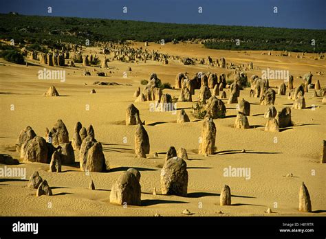 The Pinnacles Nambung National Park Western Australia Stock Photo Alamy