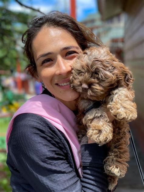 Furry Trails Pet Transport Schedule Delivery