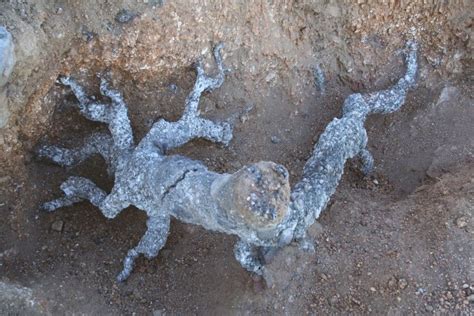 Lightning Hitting Sand Will Turn It Into Glass Unlike All Of The Other Specimens We Found At