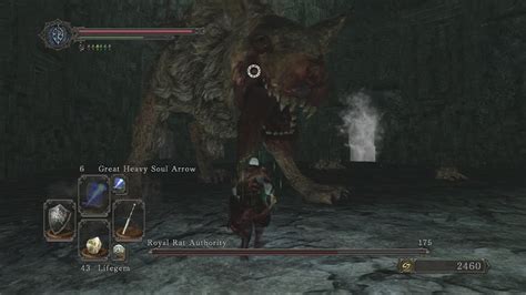 Royal Rat Authority - Dark Souls Wiki - Wikia