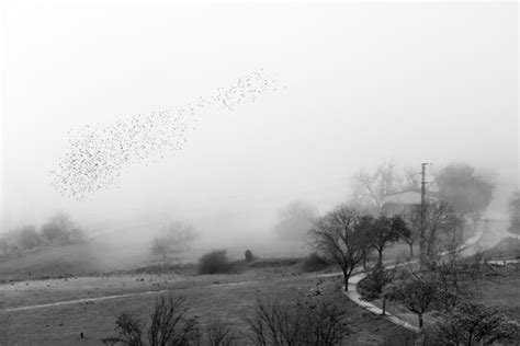 Niebla 画像 - 参照 21,577 Stock 写真、ベクターおよびビデオ | Adobe Stock