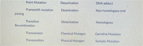 Solved Point Mutation Depurination Dna Adduct Frameshift