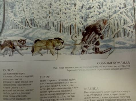 Книга: "Зов предков" - Джек Лондон. Купить книгу, читать рецензии ...