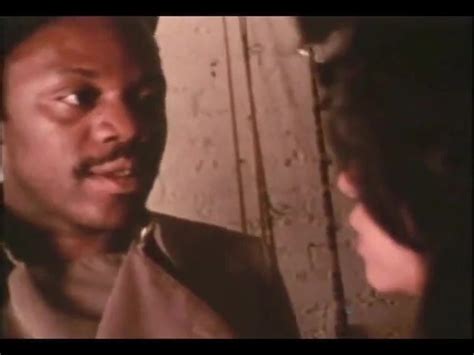 American Vintage Hairy Hairy Porn Xhamster