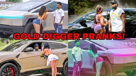 Gold Digger Pranks Unleashed Nyyear Price Londonsway And Ticodior