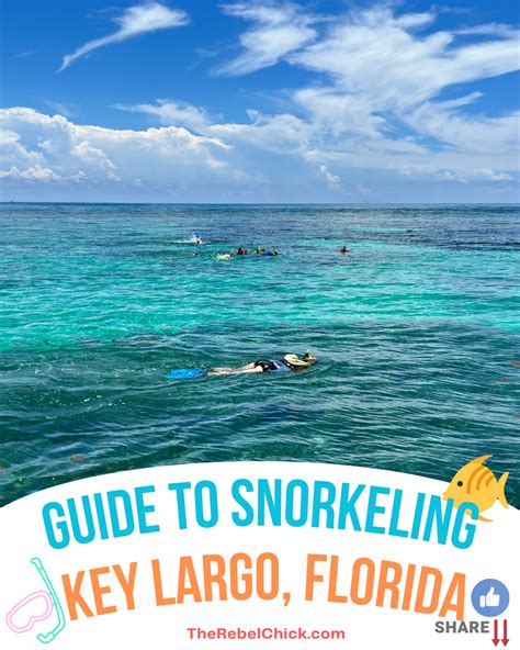 Key Largo Snorkeling