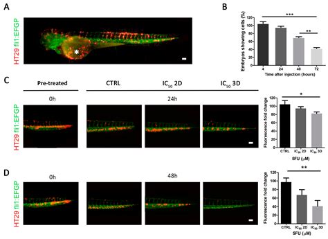 Stage 4 Lung Cancer Spread To Liver And Lymph Nodes Life Expectancy