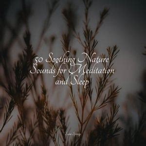 Binaural Creations Soothing Nature Sounds For Meditation And Sleep