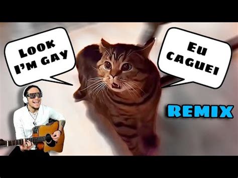 Look Im Gay Cat Meme HOUR LONG YouTube