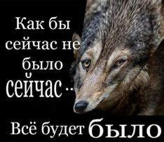 эля гадалка💄🔞 scp объект 69 (@laxiedemon69) on X | Memes, Happy memes ...