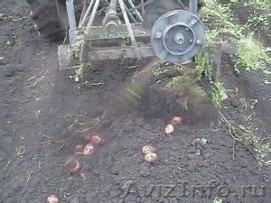 Картофелекопалка однорядная роторная, плуг, окучник для Т-25, Т-40. в ...