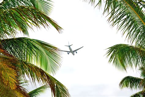 Multiple Airlines Launching New Flights To The Dominican Republic ...
