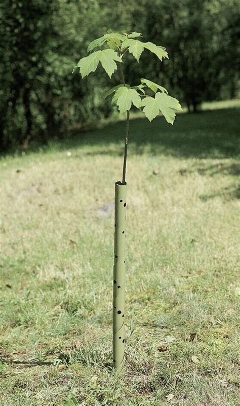 Plantagard Wild Und Fegeschutz Spiralen Ab Preisvergleich Bei