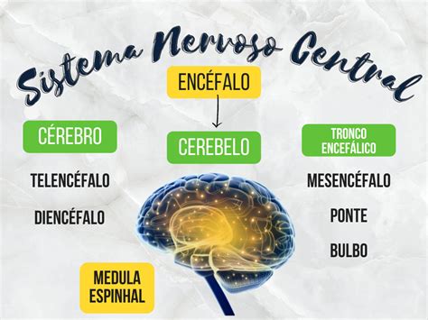 Mapa Mental Sistema Nervoso Central - 10
