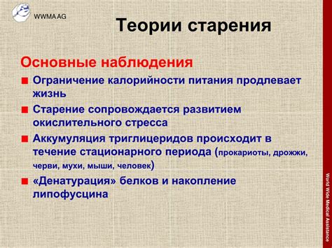 PPT - БИОЛОГИЧЕСКИЕ ЧАСЫ И МЕХАНИЗМ ИХ РЕГУЛЯЦИИ: РЕДОКС СИСТЕМА ...