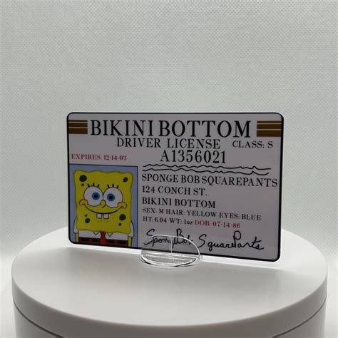 SpongeBob Bikini Bottom Driver Licenses SpongeBob Depop