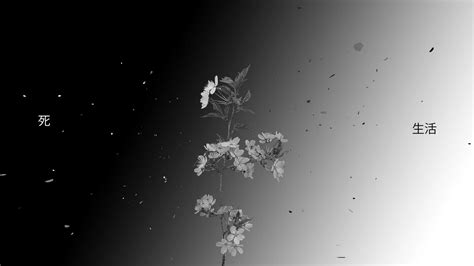 Black And White Sakura Wallpapers - Wallpaper Cave